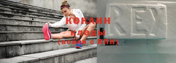 шишки Дубовка