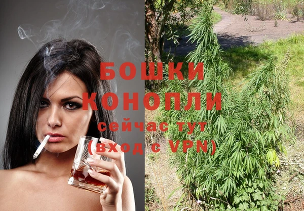 метадон Сафоново